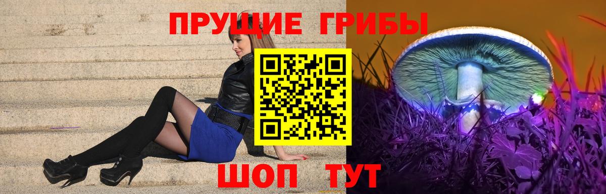 Псилоцибиновые грибы мухоморы Шали