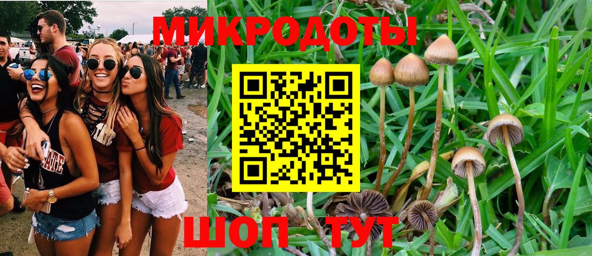 Шали  Галлюциногенные грибы Psilocybe  сколько стоит  Вход с VPN 
